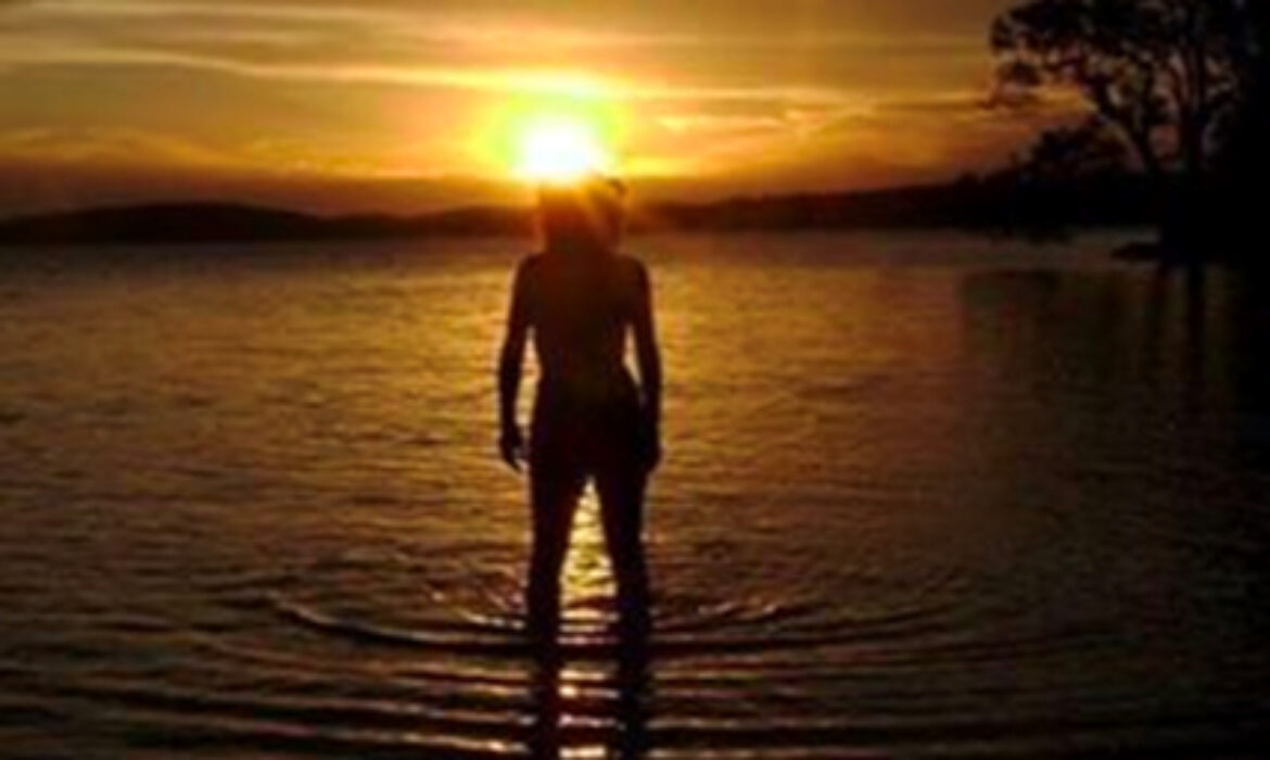 blog spotlight Could Should