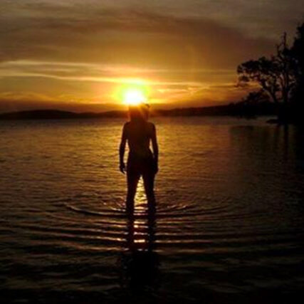 blog spotlight Could Should