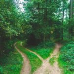 Spotlight on Decisions